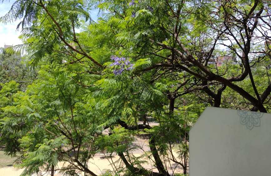 Departamento  - Imagen