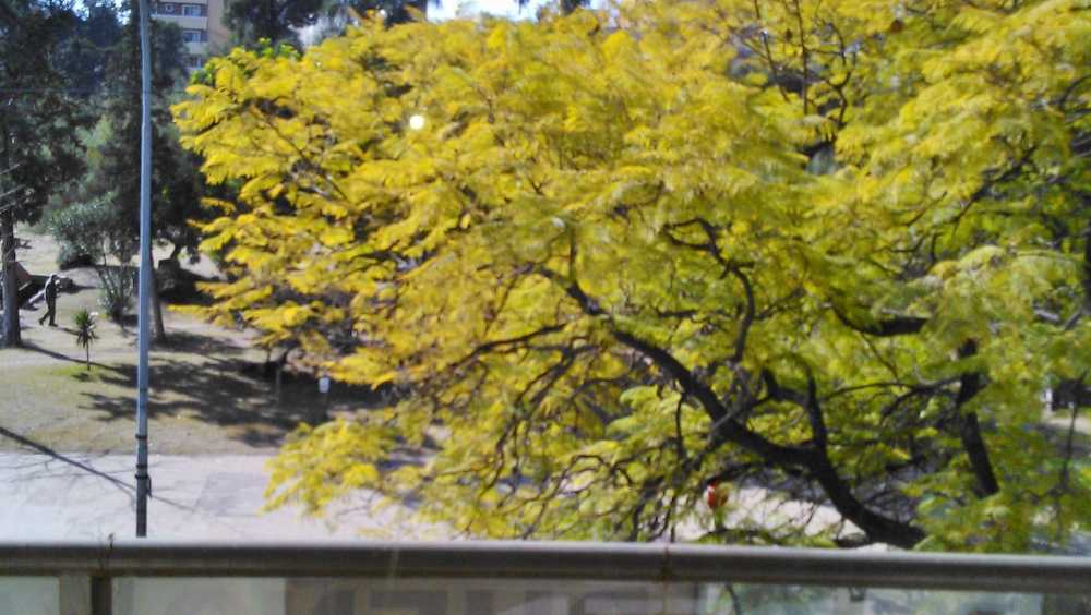 Departamento  - Imagen