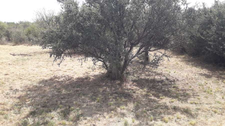 Terreno disponible para la en Venta en Merlo · frente 25 m · largo 25 m · 500 m² de lote · dueño directo - Imagen 2