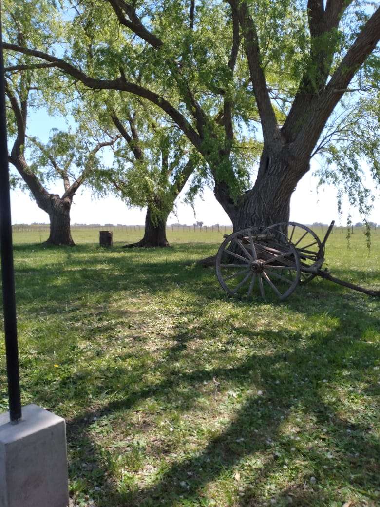 Excelente Casa en Tapalque en Venta · dueño directo · 4 o más dorm · 5 cocheras · 10.500 m² de lote - Imagen 5