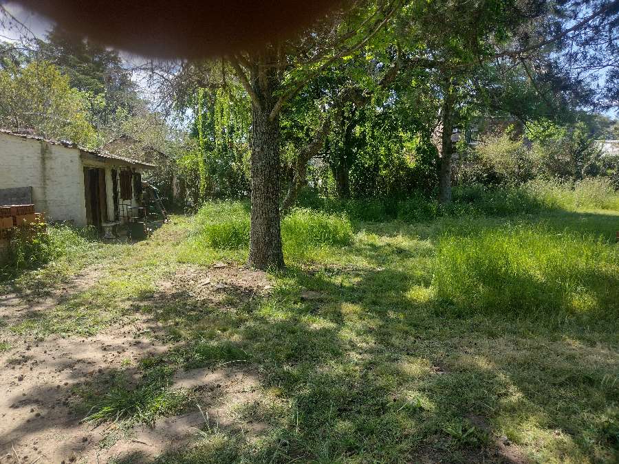 Terreno  General Rodriguez - Imagen