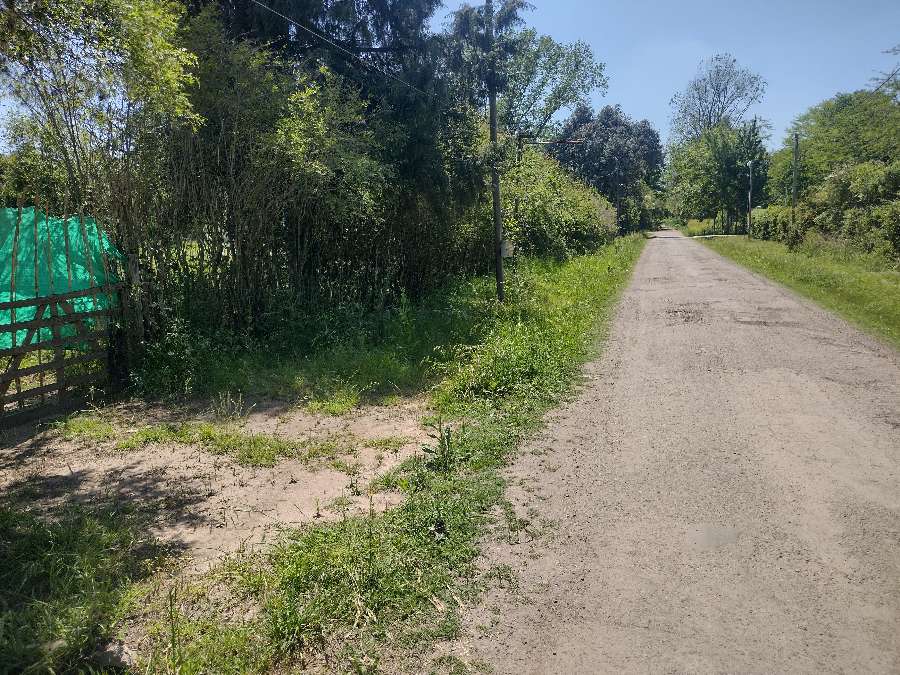 Terreno  General Rodriguez - Imagen