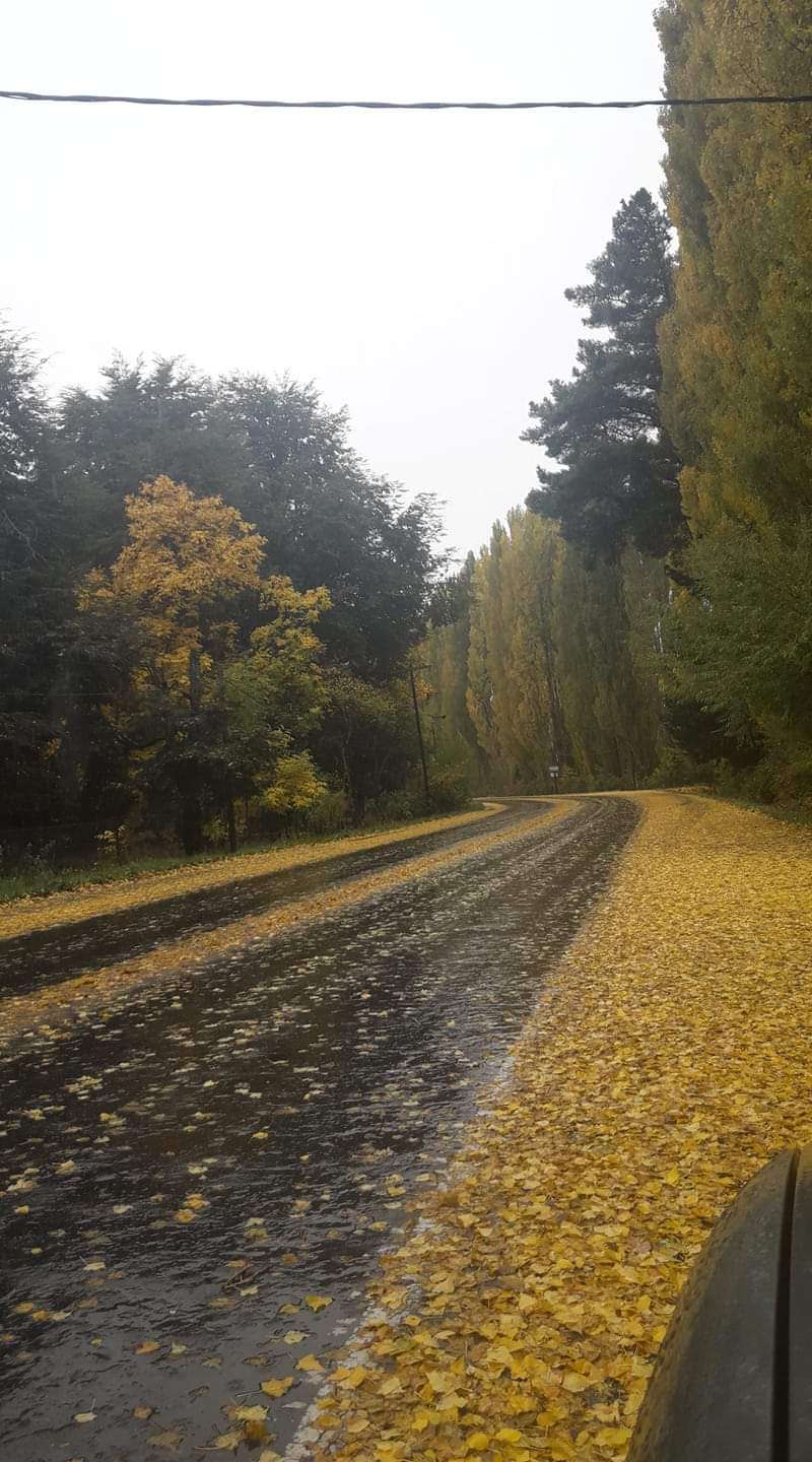 Tu próximo Terreno en Venta en Lago Puelo · 1.283 m² de lote · dueño directo - Imagen 2