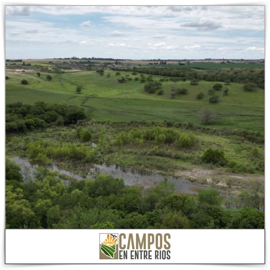 Campo en Venta en Diamante · 12 ha - Imagen 2