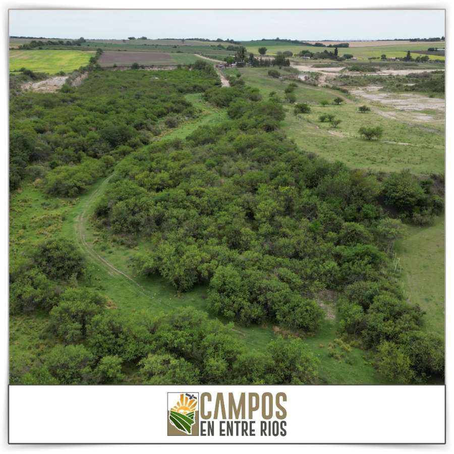 Campo en Venta La Juanita. Diamante, Diamante - Imagen 6