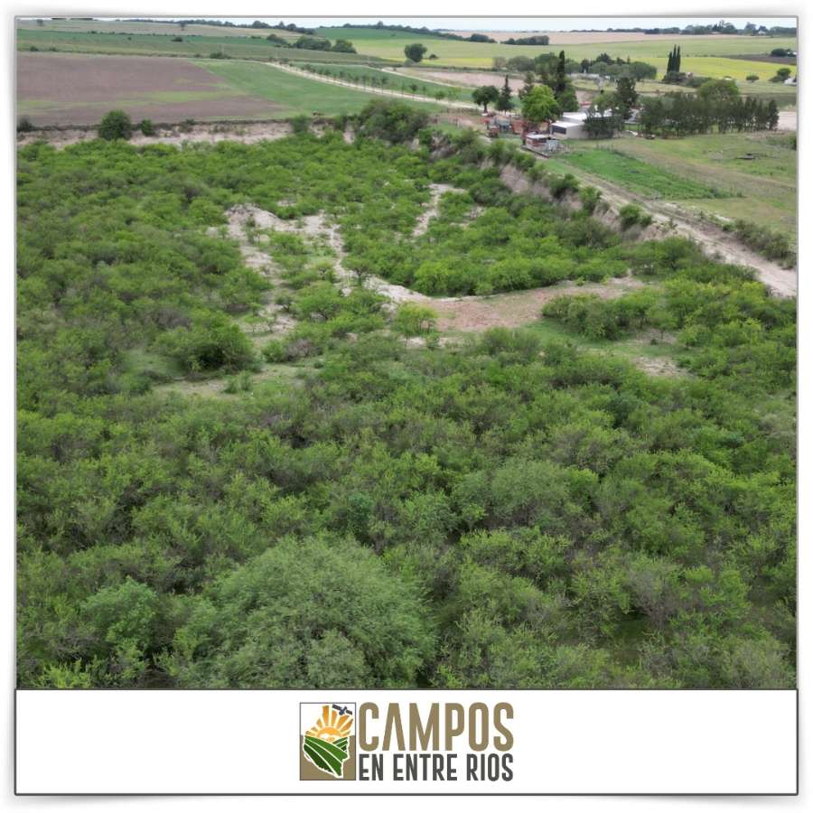 Campo en Venta La Juanita. Diamante, Diamante - Imagen 7