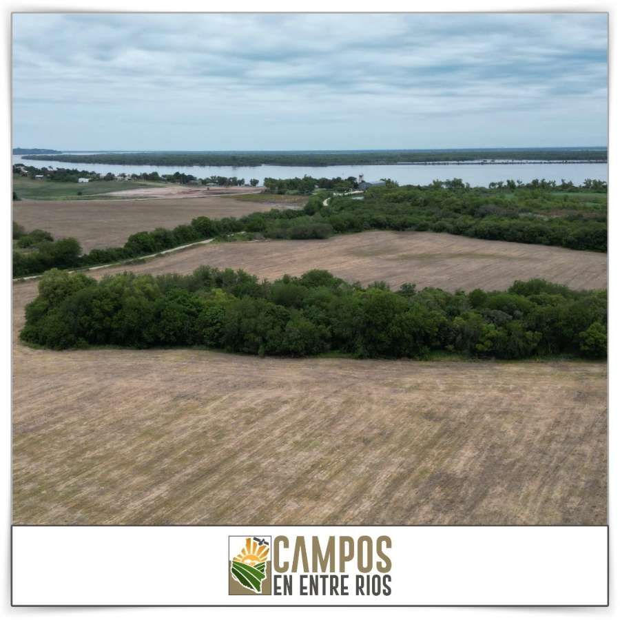 Campo en Venta La Juanita. Diamante, Diamante - Imagen 9