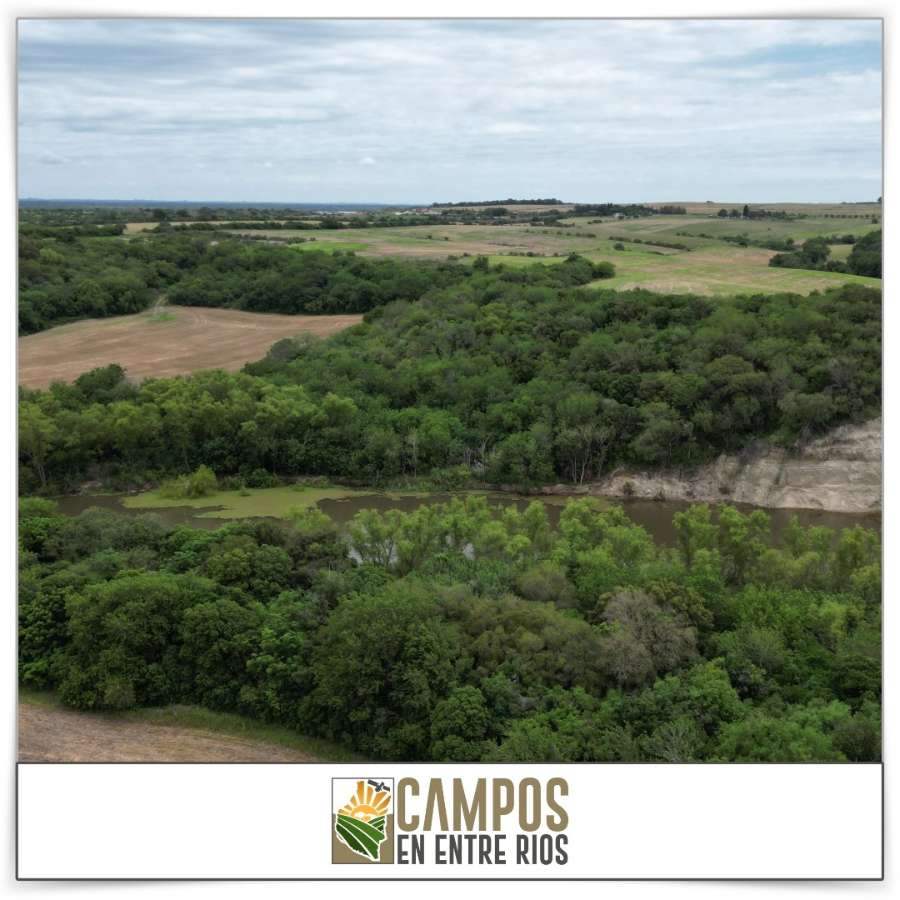 Campo en Venta La Juanita. Diamante, Diamante - Imagen 10