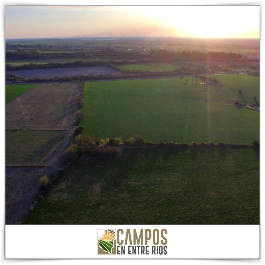 Campo en Venta Tezanos Pinto, Oro Verde - Imagen 12