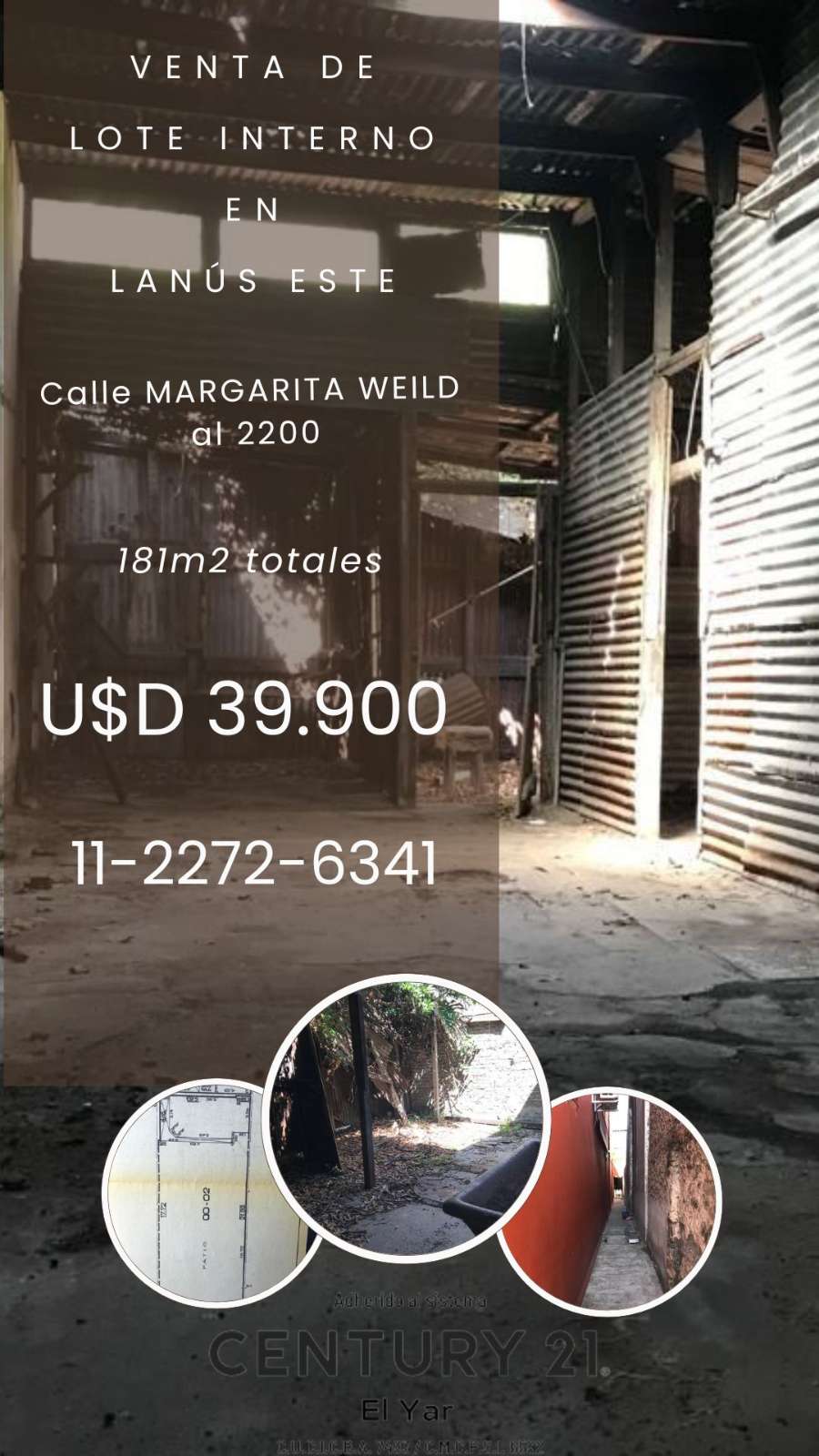 MARGARITA WEILD 2200, 