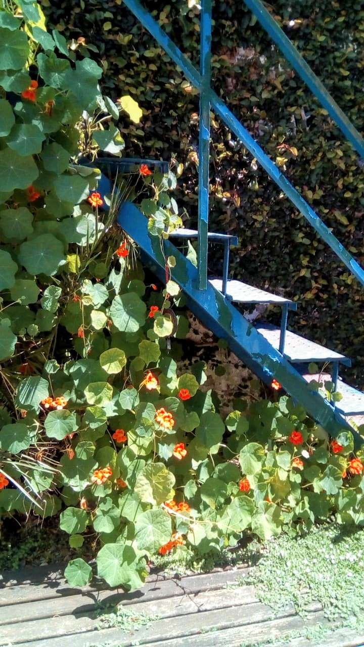 Casa en Venta Bragado 6287, Wilde - Imagen 7