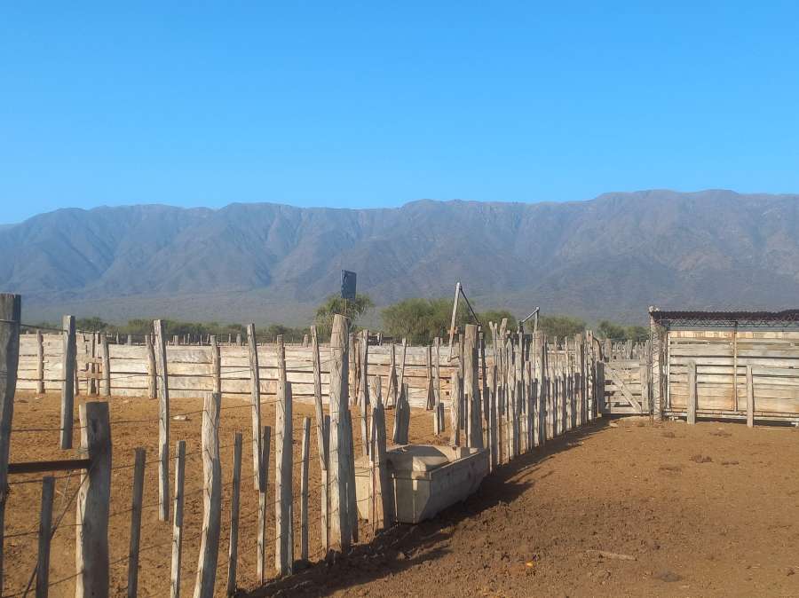 Campo  San Fernando del Valle de Catamarca - Imagen
