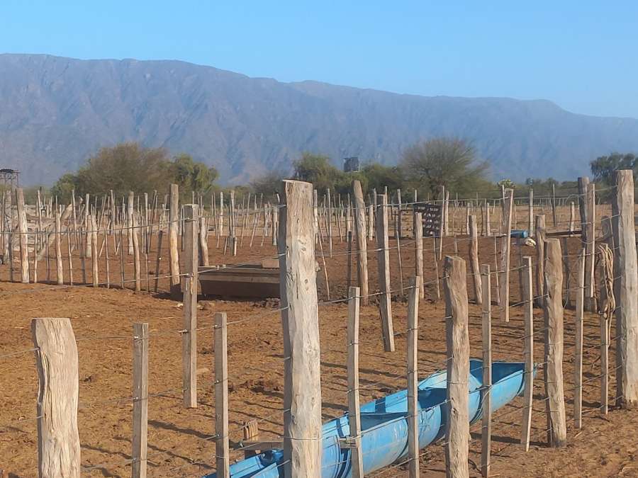 Campo  San Fernando del Valle de Catamarca - Imagen