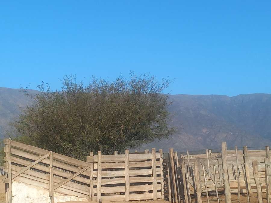Campo  San Fernando del Valle de Catamarca - Imagen