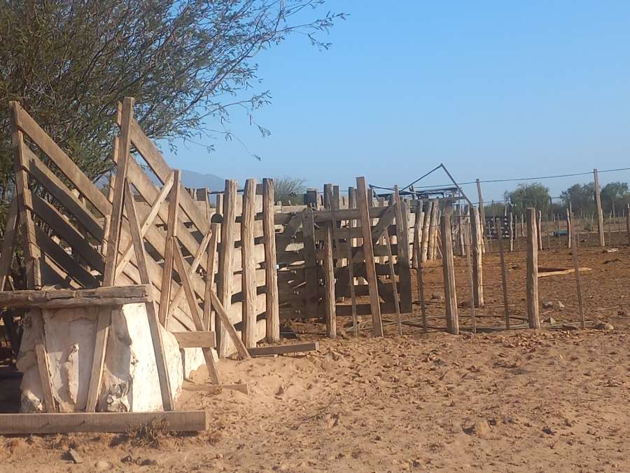 Campo  San Fernando del Valle de Catamarca - Imagen