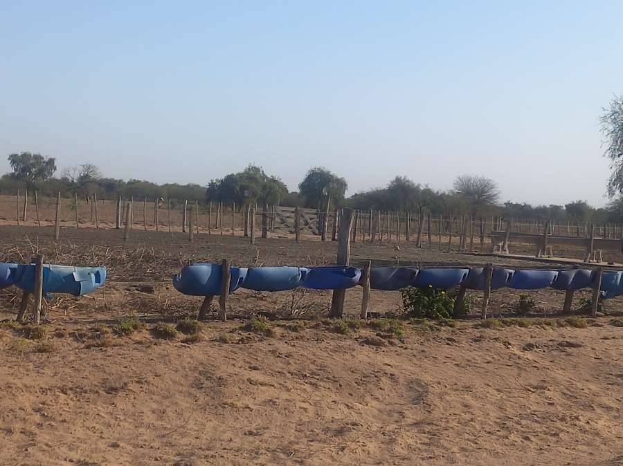 Campo  San Fernando del Valle de Catamarca - Imagen