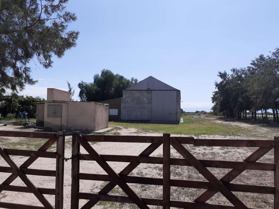 Campo en Aimogasta: en Venta · dueño directo · 55 ha - Imagen 1