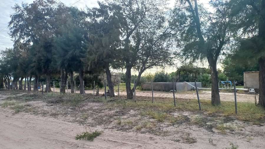 Campo en Aimogasta: en Venta · dueño directo · 55 ha - Imagen 3