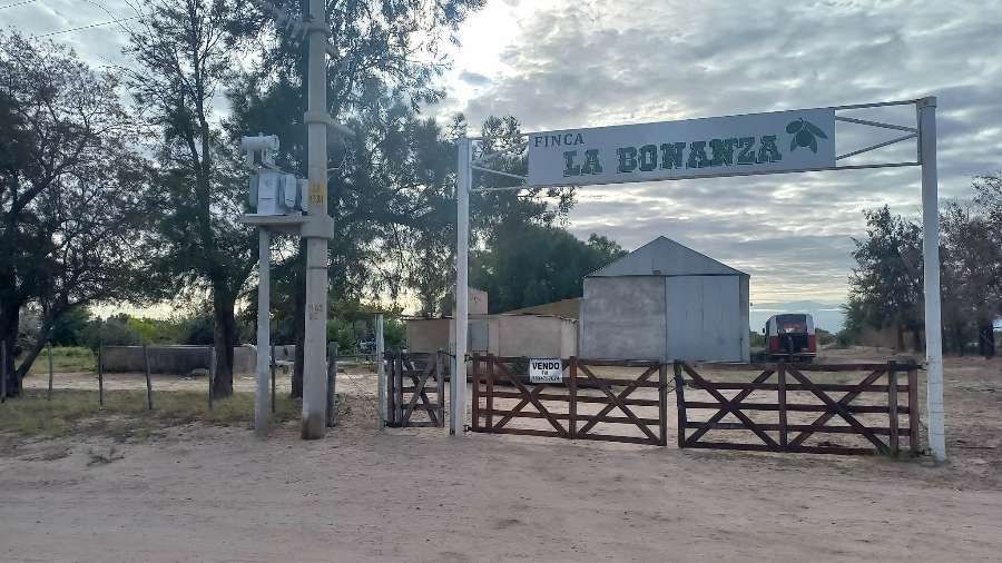 Campo en Aimogasta: en Venta · dueño directo · 55 ha - Imagen 4