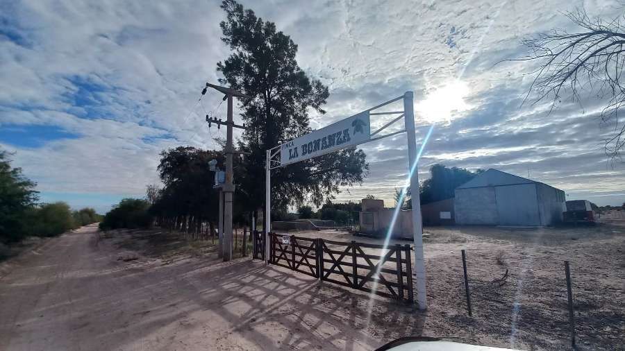 Campo  Aimogasta - Imagen