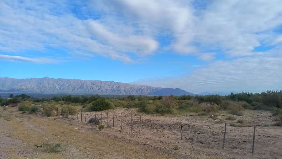 Campo  Aimogasta - Imagen