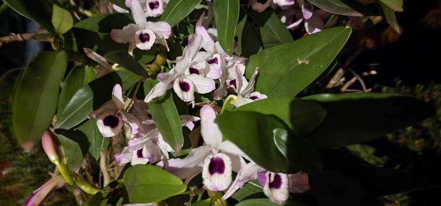 Campo  El Soberbio - Imagen