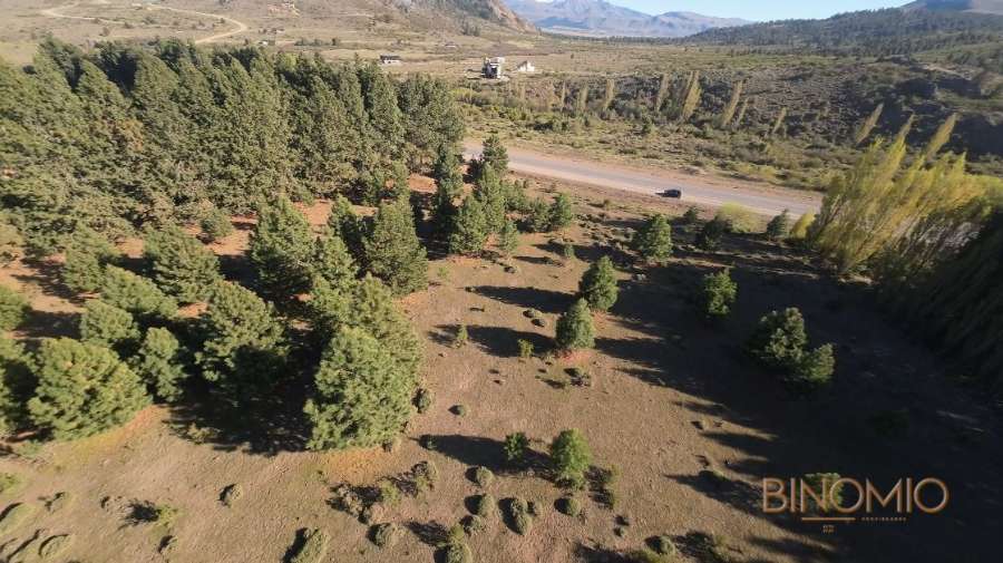 Campo  Bariloche - Imagen