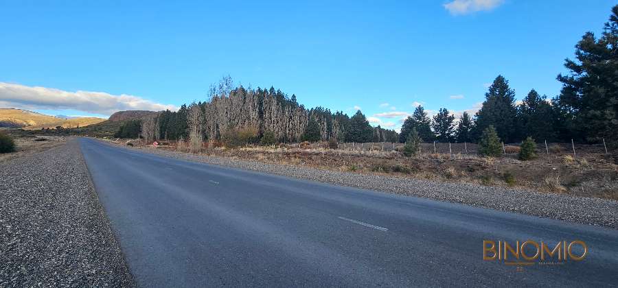 Campo  Bariloche - Imagen