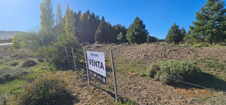 Campo  Bariloche - Imagen