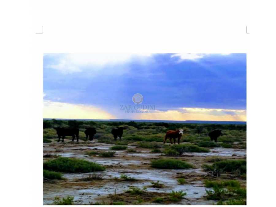 Oportunidad: Campo en Venta en San Luis · 281 ha - Imagen 1