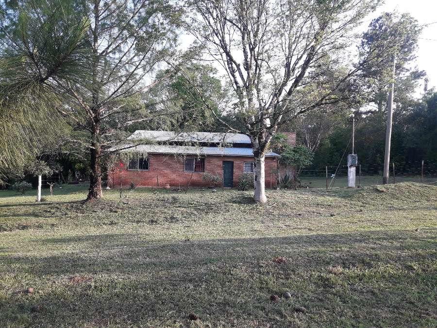 Campo Obera - Imagen