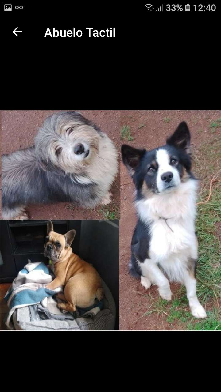 Campo Obera - Imagen