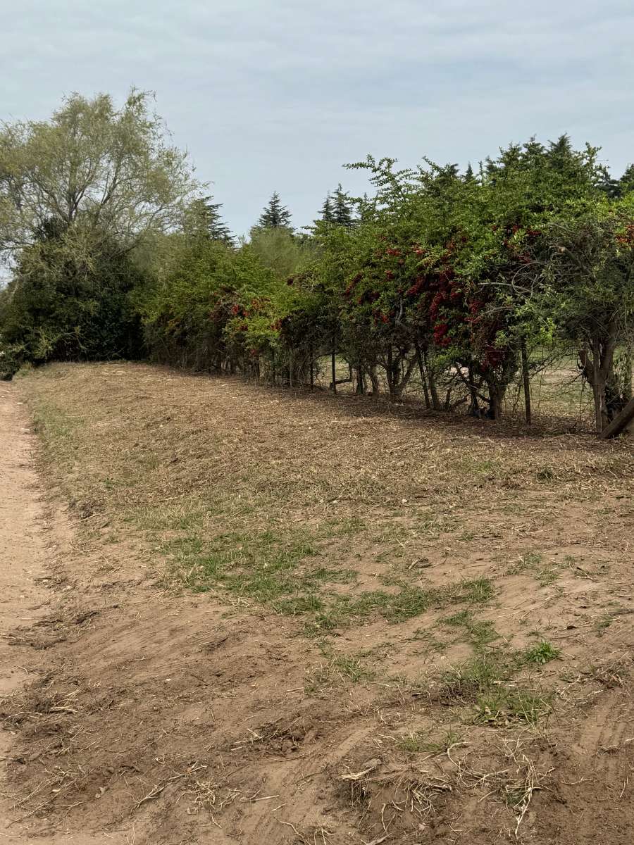 Terreno en Río Cuarto en Venta - Imagen 5