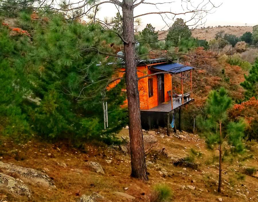 Campo  San Clemente - Imagen