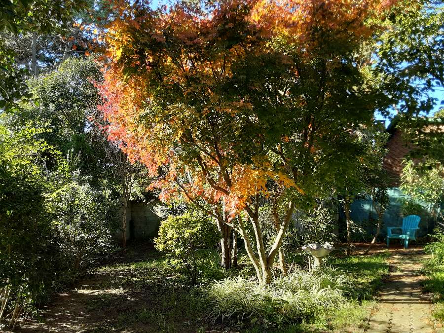 Casa Villa Gesell - Imagen