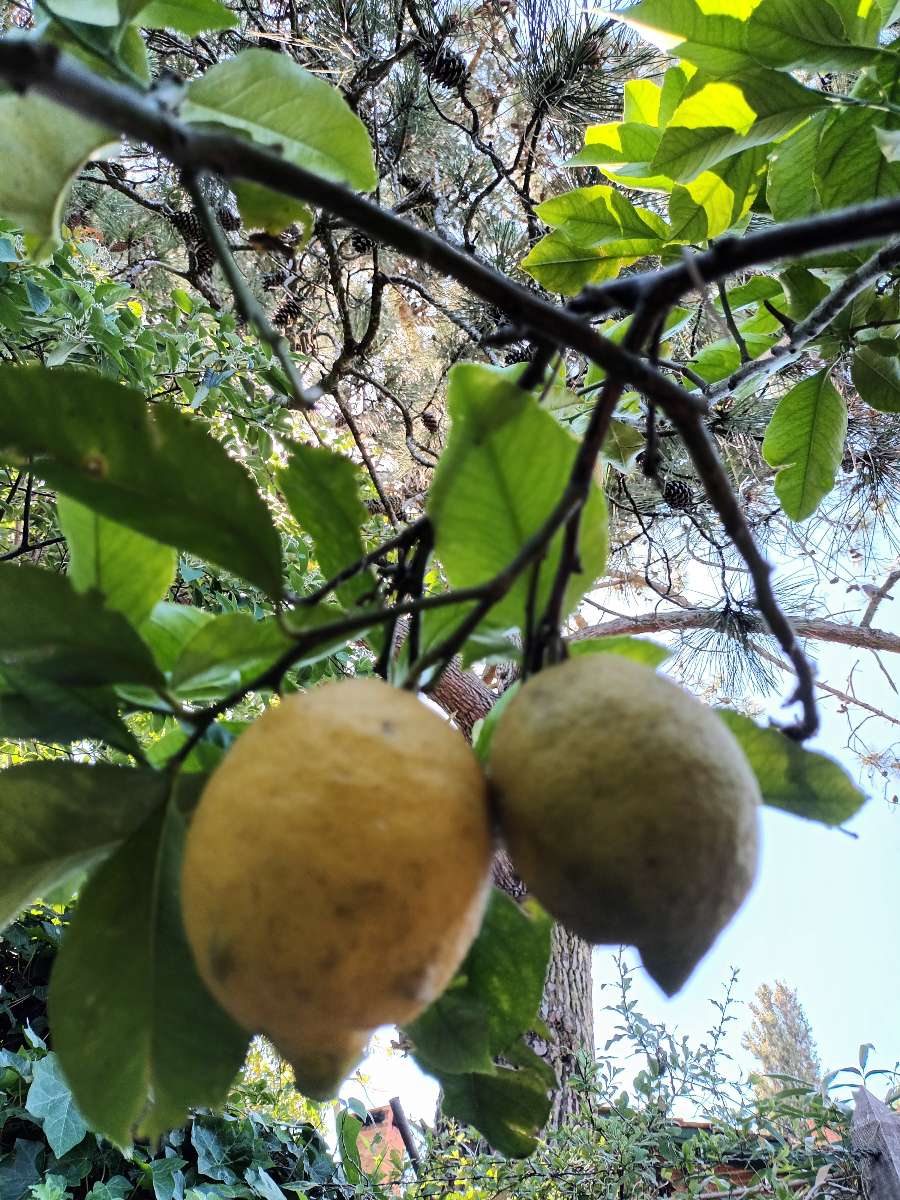 Casa Villa Gesell - Imagen