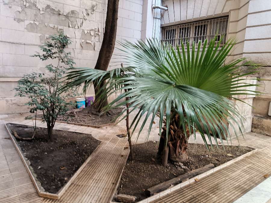 Semipiso en Alquiler Maipu 400, San Nicolás - Imagen 12