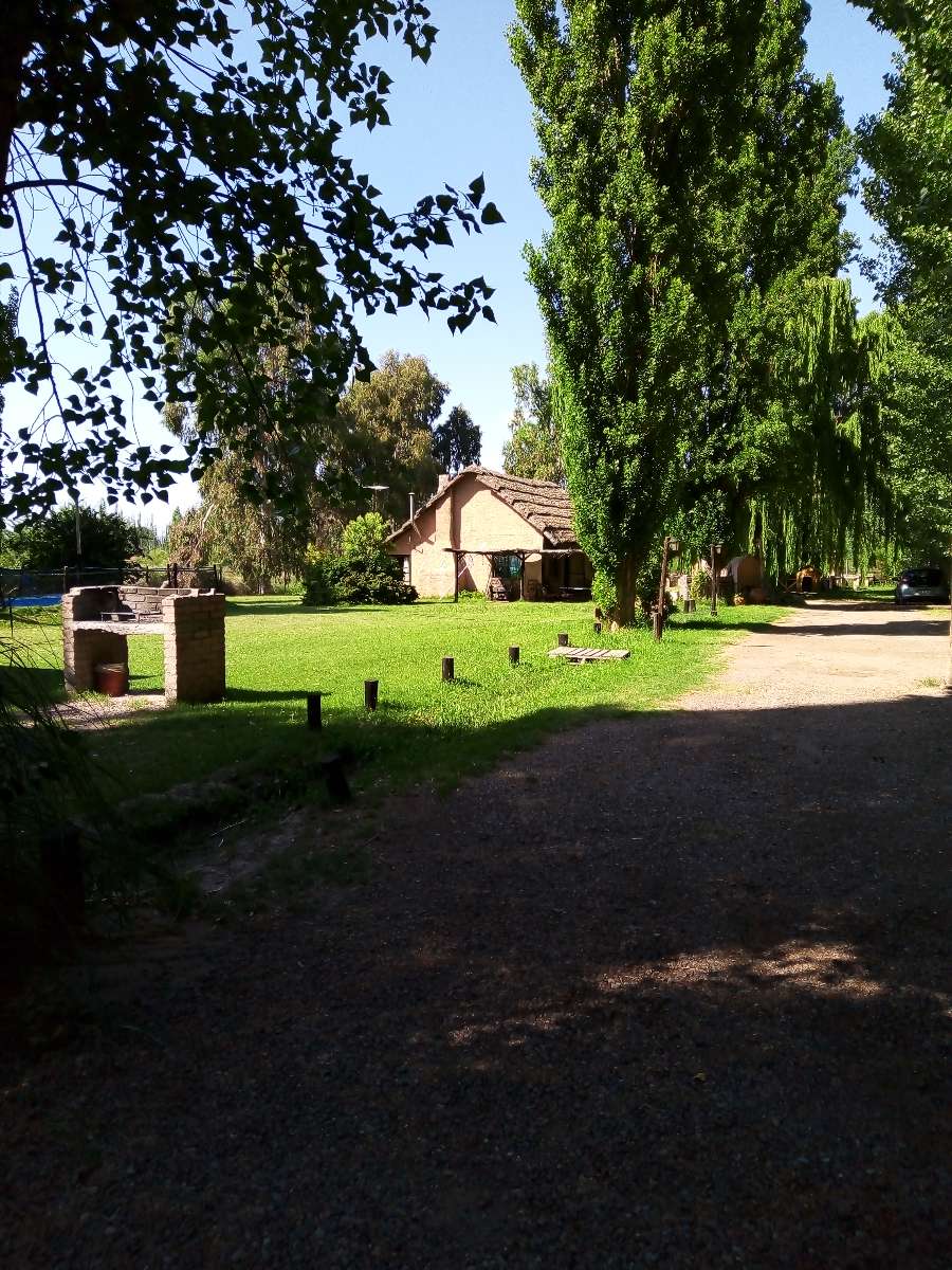 Oportunidad: Campo en Temporario en Lujan de Cuyo · dueño directo · 2 ha - Imagen 1