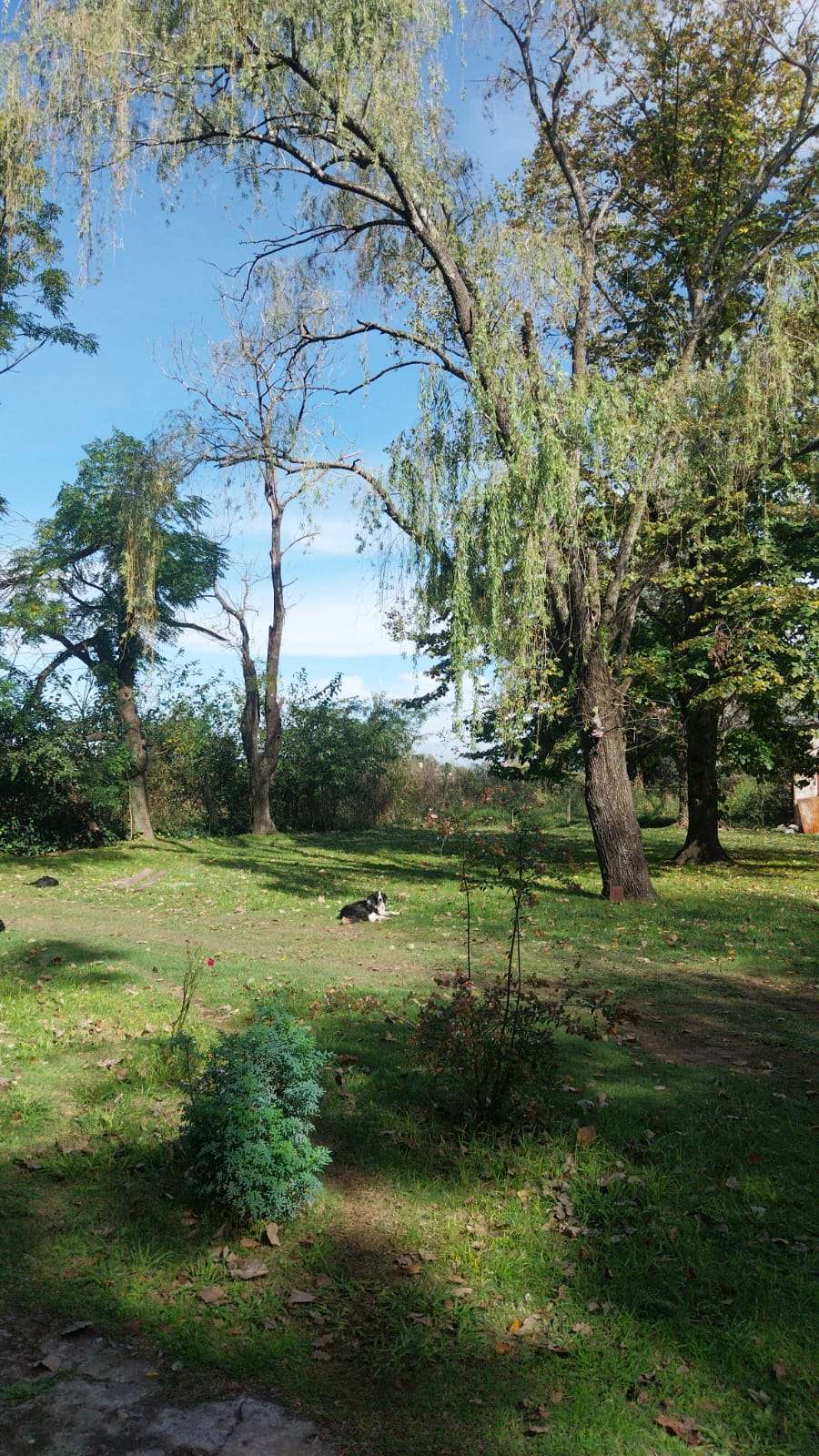 Casa Quinta  General Rodriguez - Imagen