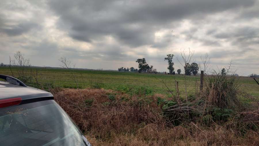 Tu próximo Campo en Venta en Marcos Paz · 430 ha - Imagen 3