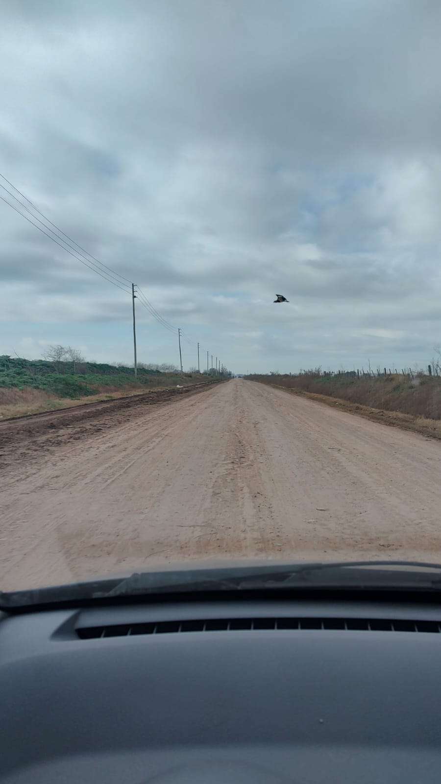 Campo  Marcos Paz - Imagen