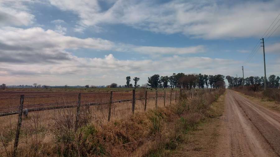 Campo  Marcos Paz - Imagen