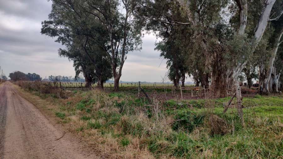 Campo  Marcos Paz - Imagen