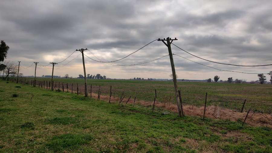 Campo  Marcos Paz - Imagen