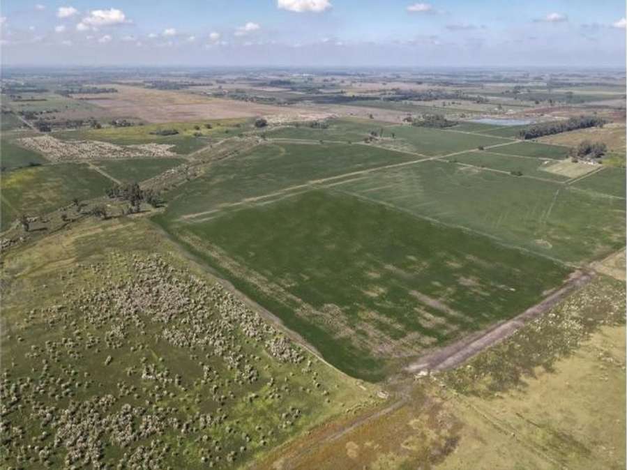 Campo  Marcos Paz - Imagen