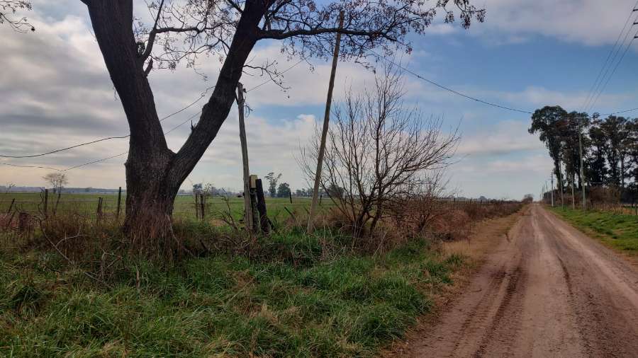 Campo  Marcos Paz - Imagen