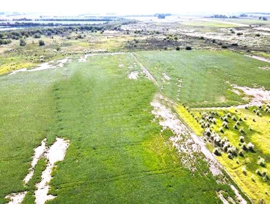 Campo  Marcos Paz - Imagen