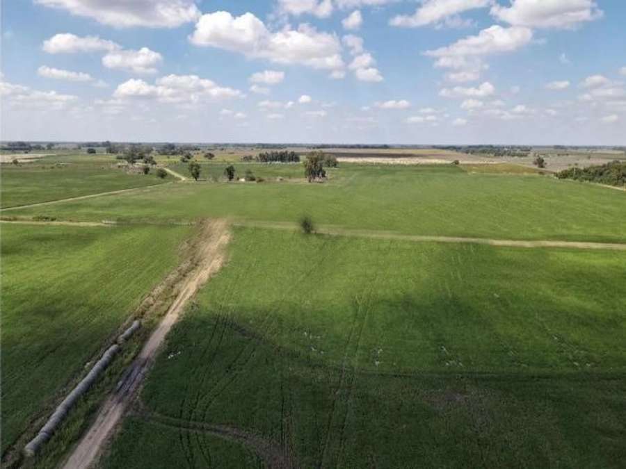 Campo  Marcos Paz - Imagen