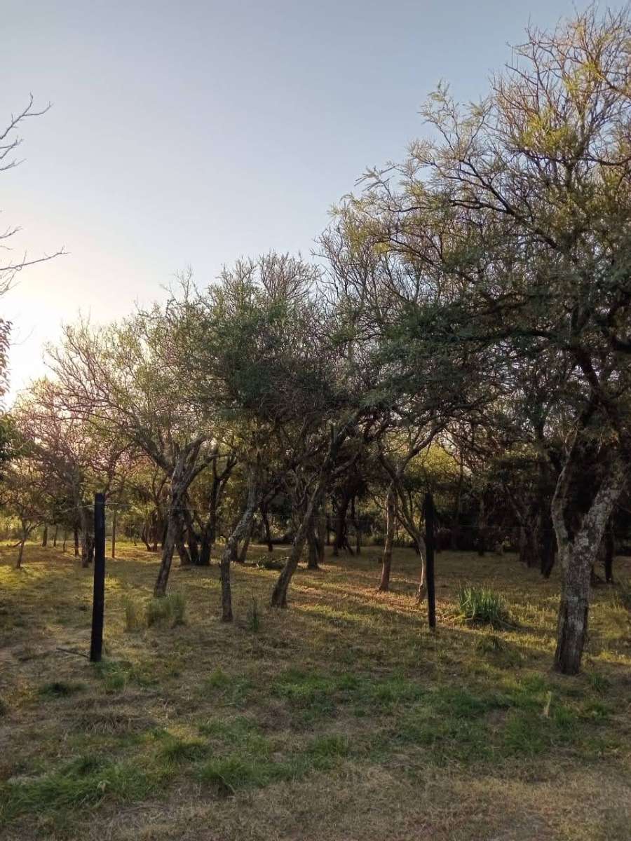 Terreno en Venta en Villa Ciudad del Parque con · 778 m² de lote - Imagen 1