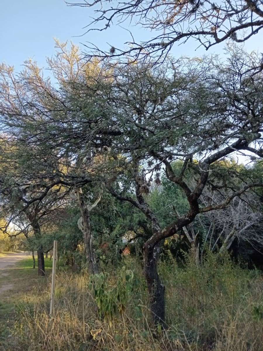 Terreno en Venta en Villa Ciudad del Parque con · 778 m² de lote - Imagen 2